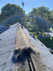 bad roof in Pennsylvania we buy as is